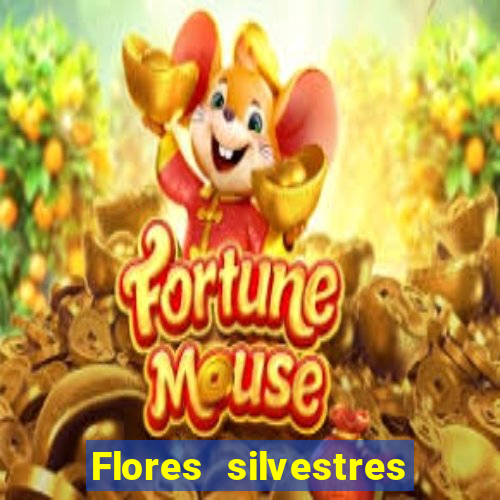 Flores silvestres brasileiras brasileiras flores silvestres nomes e imagens